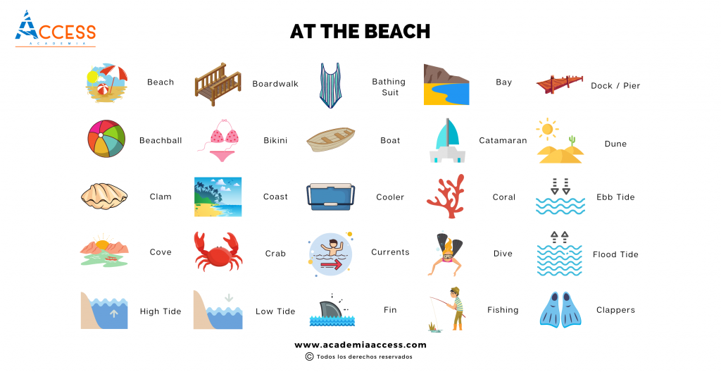 Vocabulario de la Playa en Inglés + Imágenes + PDF] |Academia Access