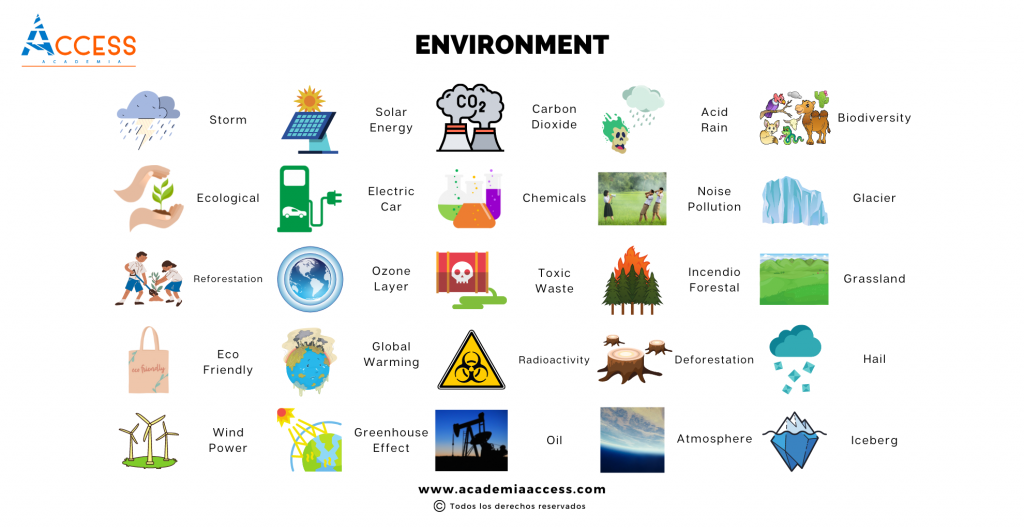 Vocabulario Del Medio Ambiente En Inglés + PDF | Academia Access